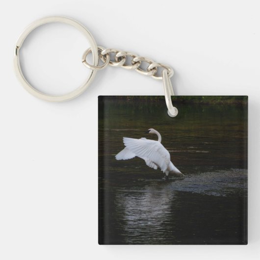 Trumpeter Swan Schlüsselanhänger (Vorderseite)
