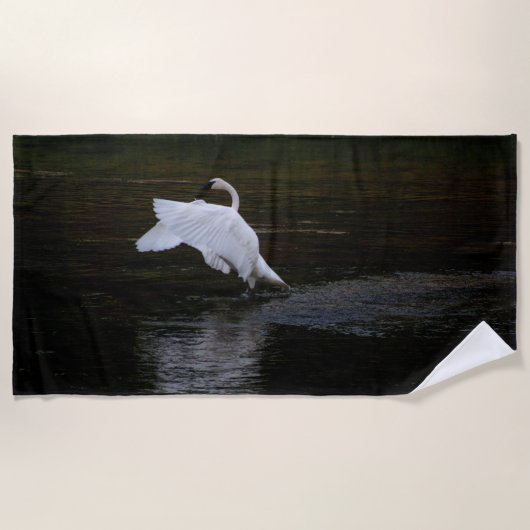 Trumpeter Swan Strandtuch (Vorderseite)