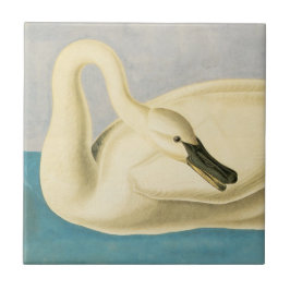 Trumpeter Swan von John James Audubon, Vintager Bi Fliese