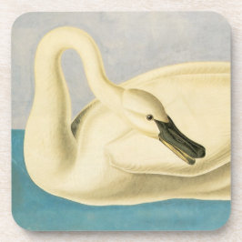 Trumpeter Swan von John James Audubon, Vintager Bi Getränkeuntersetzer