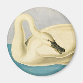 Trumpeter Swan von John James Audubon, Vintager Bi Magnet