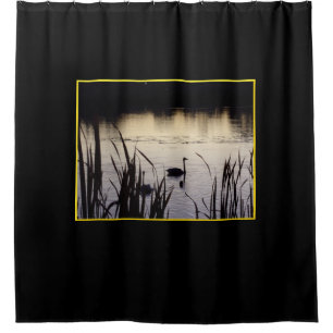 Trumpeter Swans am Dusk Duschvorhang