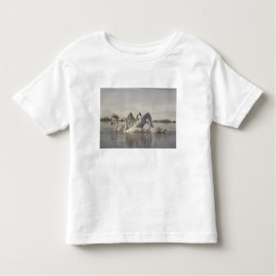 Trumpeter Swans im Madison River im Winter Kleinkind T-shirt