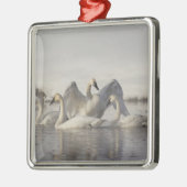 Trumpeter Swans im Madison River im Winter Ornament Aus Metall (Links)