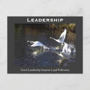 Trumpeter Swans Motivierend Geschenke Postkarte