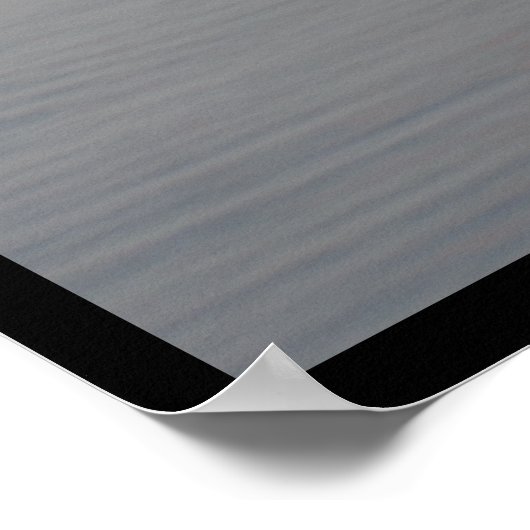 Trumpeter Swans Poster (Ecke)