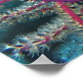 Trumpetfish im Koral Poster (Ecke)