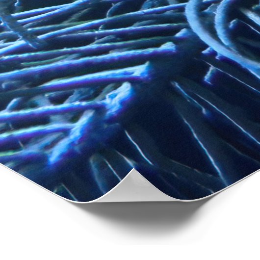 Trumpetfish in Utila Poster (Ecke)