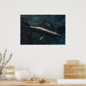 Trumpetfish Poster (Küche)
