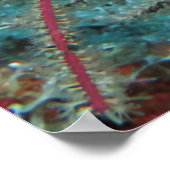 Trumpetfish verstecken poster (Ecke)