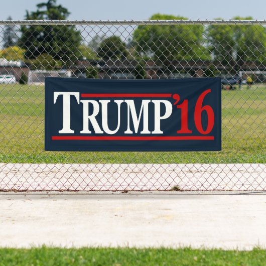 Trumpf 2016 banner (Insitu)