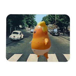 Trumpf in London Magnet