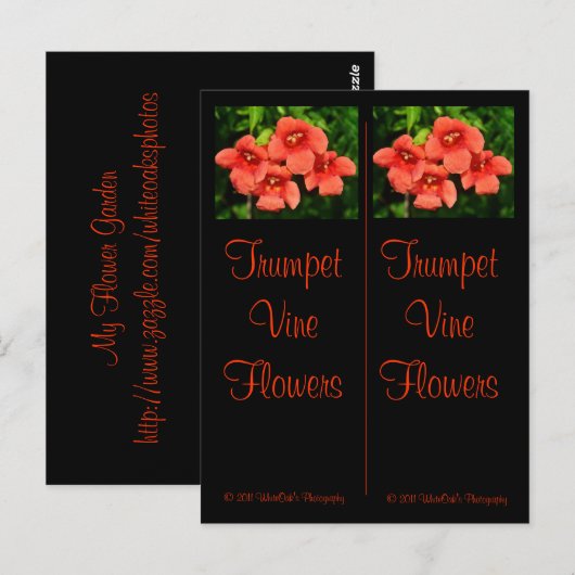 Trumpf Lesezeichen Postkarte (Vorne/Hinten)