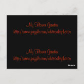 Trumpf Lesezeichen Postkarte (Rückseite)