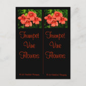 Trumpf Lesezeichen Postkarte (Vorderseite)