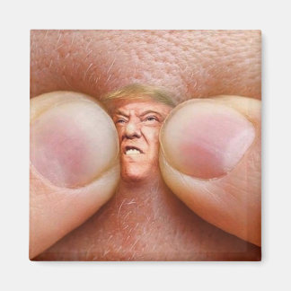 Trumpf Magnet