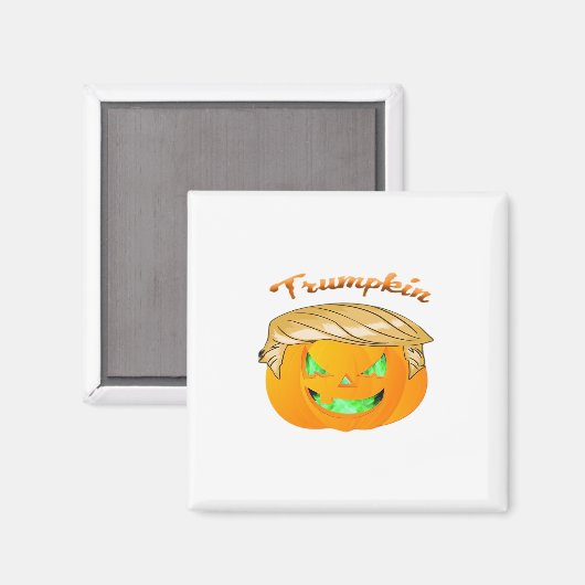 Trumpkin Classic - Sloth in einem MAGA-Hut Magnet (Vorderseite/Rückseite)