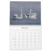 Trumpter Swan Wall Calendar Kalender (Mär 2027)