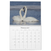 Trumpter Swan Wall Calendar Kalender (Feb 2027)