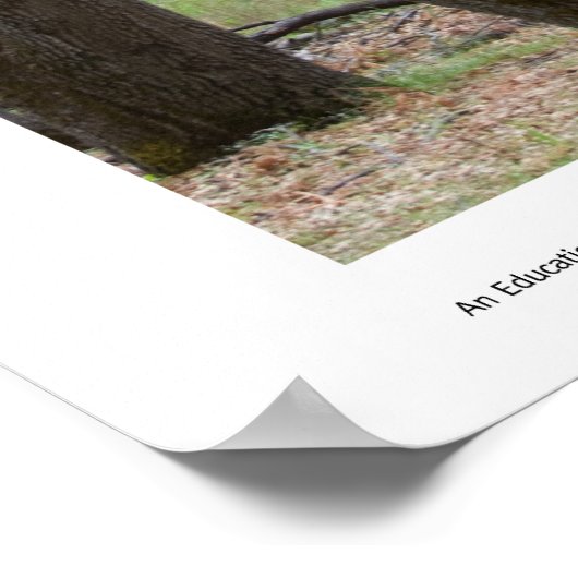 Trunk Space Prints Poster (Ecke)