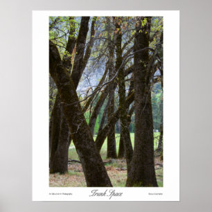 Trunk Space Prints Poster