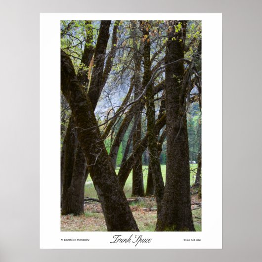 Trunk Space Prints Poster (Vorne)