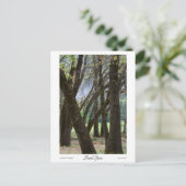 Trunk Space Prints Postkarte (Stehend Vorderseite)