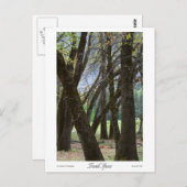 Trunk Space Prints Postkarte (Vorne/Hinten)