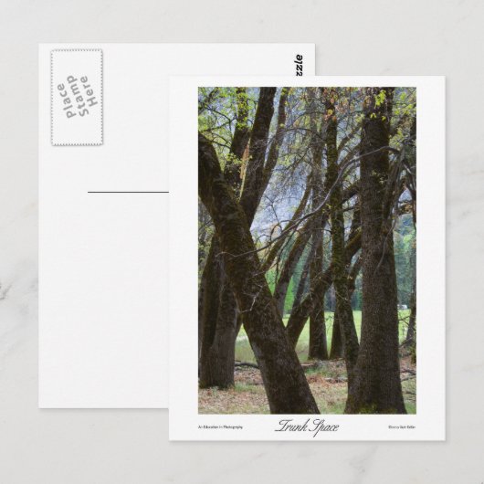 Trunk Space Prints Postkarte (Vorne/Hinten)