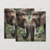 "Trunk to Trunk: Eine sanfte ElefantenEmbrace" (Vorne/Hinten)