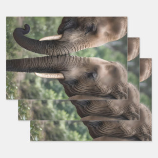 "Trunk to Trunk: Eine sanfte ElefantenEmbrace" Geschenkpapier Set