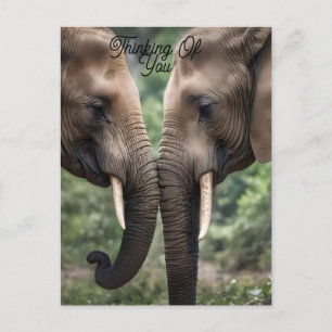 "Trunk to Trunk: Eine sanfte ElefantenEmbrace" Postkarte