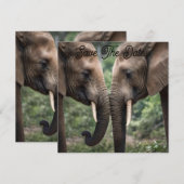 "Trunk to Trunk: Eine sanfte ElefantenEmbrace" Save The Date (Vorne/Hinten)