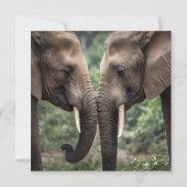 "Trunk to Trunk: Eine sanfte ElefantenEmbrace" Save The Date (Rückseite)