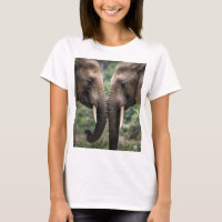 "Trunk to Trunk: Eine sanfte ElefantenEmbrace"