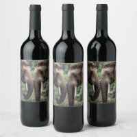 "Trunk to Trunk: Eine sanfte ElefantenEmbrace"
