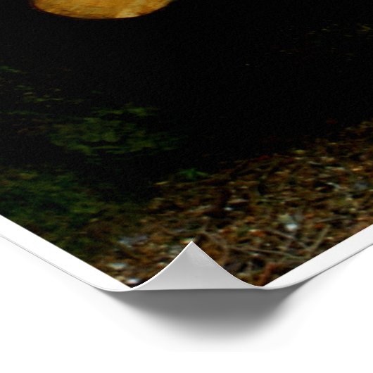 Trunks by Johannes Stötter Poster (Ecke)