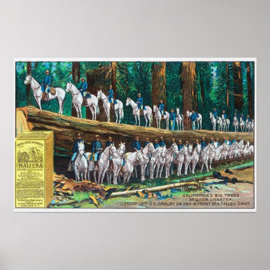 Truppe I auf und vor dem gefallenen Riesen Poster (Vorne)