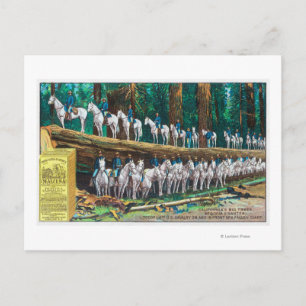 Truppe I auf und vor dem gefallenen Riesen Postkarte