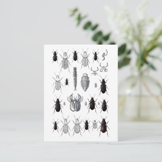 Truppe von Alien Postkarte (Stehend Vorderseite)