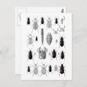 Truppe von Alien Postkarte (Vorne/Hinten)