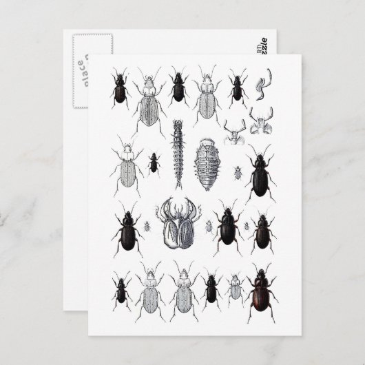 Truppe von Alien Postkarte (Vorne/Hinten)