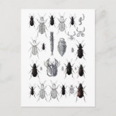 Truppe von Alien Postkarte (Vorderseite)