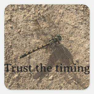 Trust the Timing Sticker