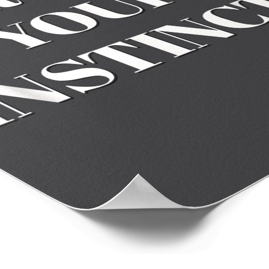 Trust Your Instincts Motivational  Poster (Ecke)
