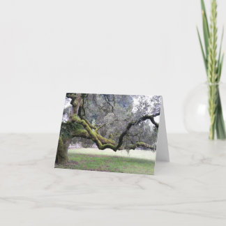 Trusted Baum mit starken Zweigen überdehnt Dankeskarte