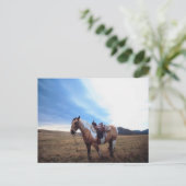 Trusted Steed Postkarte (Stehend Vorderseite)