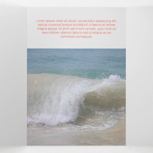 Trustvoll Red Corporate Dreifach Gefaltete Karte (Innenseite Mitte)