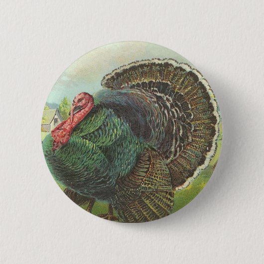 Truthahn Button (Vorderseite)
