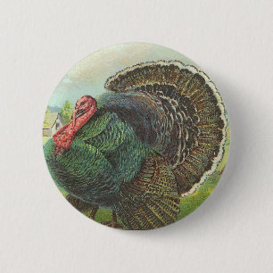 Truthahn Button